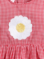 Girl's Cotton Checks Balloon Dress With Embroidery Applique and Lining