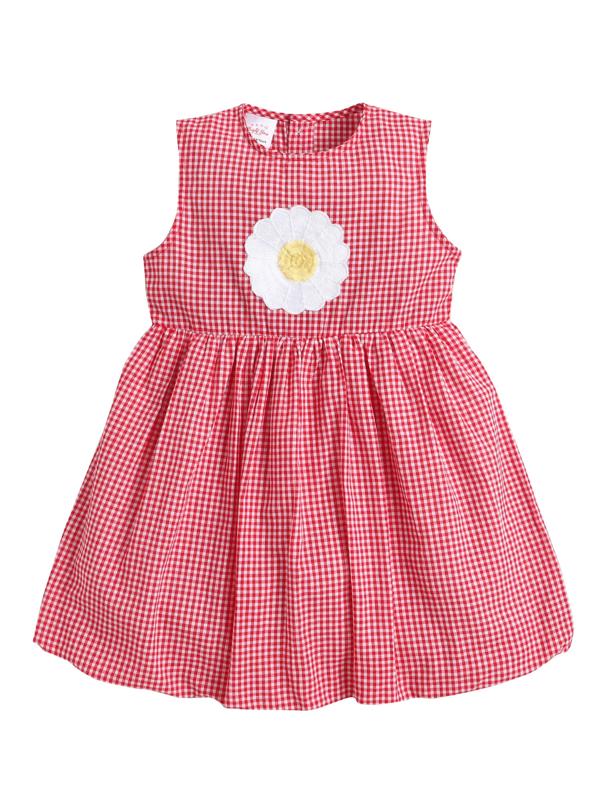 Girl's Cotton Checks Balloon Dress With Embroidery Applique and Lining